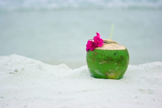 Coconut on the beach