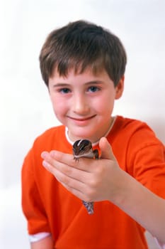 Boy and Lizard