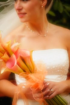 Portrait of a bride