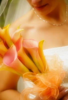 Portrait of a bride