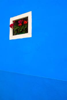 Flowers on window sill of a colorful home on the Island of Burano Venetian Lagoon Italy