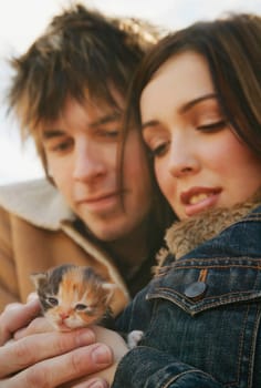 Couple cuddle a kitten