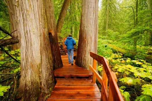 Man takes a walk