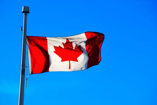 The Canadian Flag