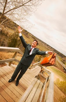 Businessman on top of the world
