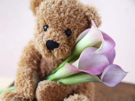 teddy bear with calla lilies