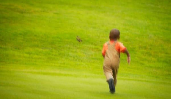 Boy chases bird