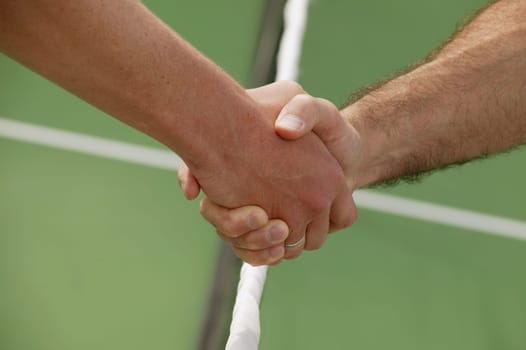 Handshake before a tennis game