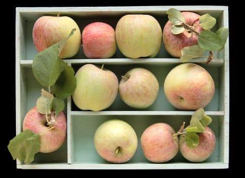Fuji apples in a wood box