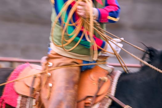Cowboy using lasso