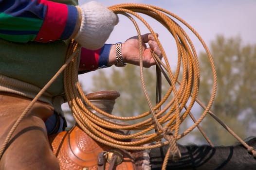 Cowboy on horseback preparing lasso