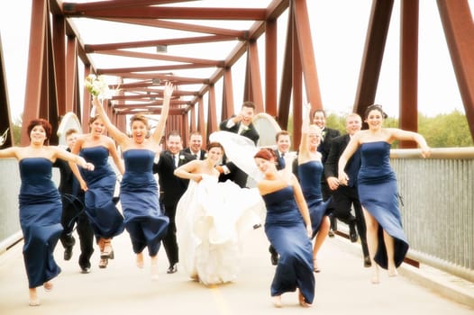 Bride, groom, bridesmaids and groomsmen