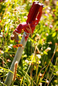 A water tap in a field