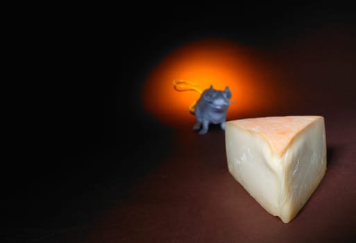 Piece of cheese with rodent in background