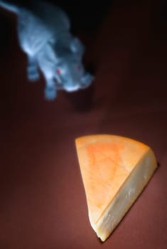 Piece of cheese with rodent