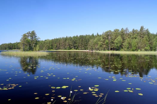 Summer lake in Finland