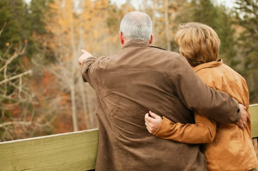 Couple pointing to trees