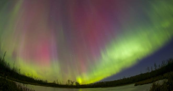 Northern Lights