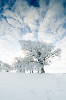 Winter200911