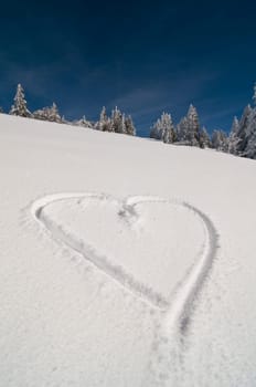 Winter Heart