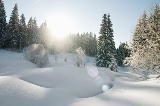 Winter200912