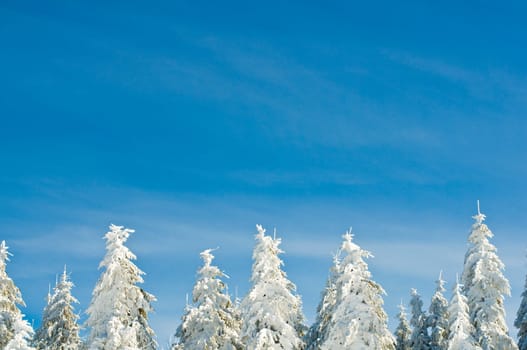 Winter200914