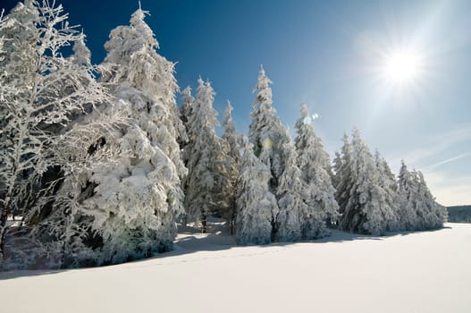 Winter200913