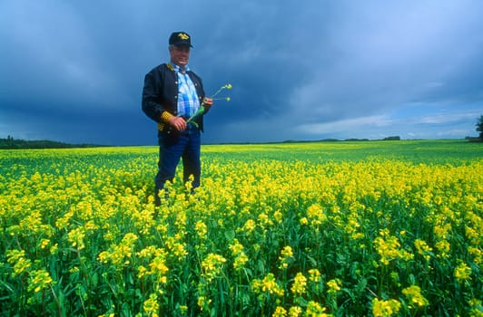 Farmer inspecting the crop