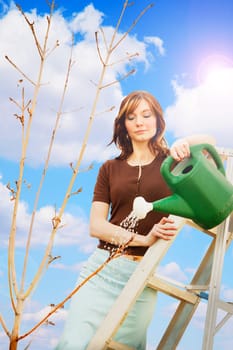 Woman watering a sapling