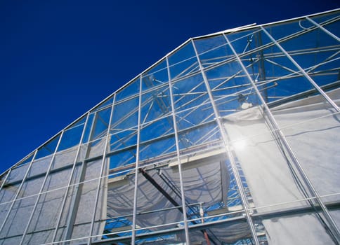 Metal and glass construction