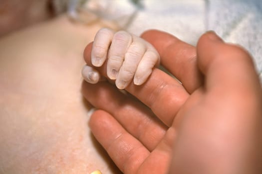 Newborn hand with mom