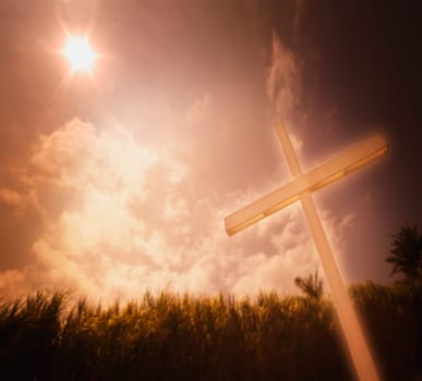 A cross against a field of sugar cane