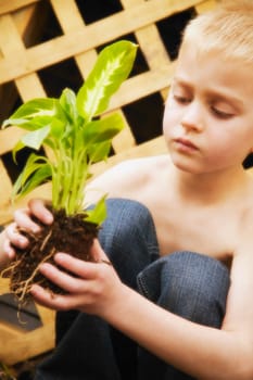 Young boy holding plant