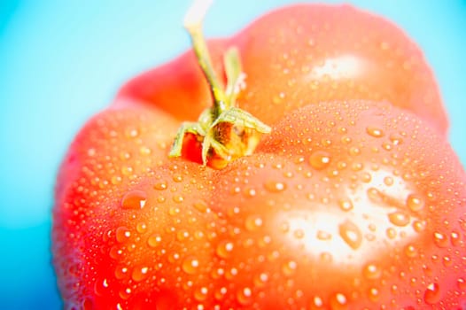 Ripe tomato