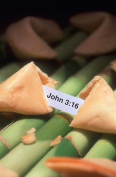 Fortune cookie
