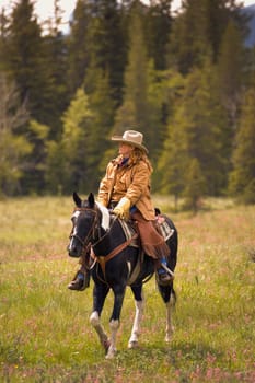 Cowboy Southern Alberta California