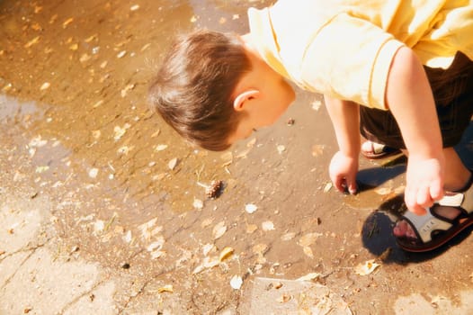 A little boy shell seeking