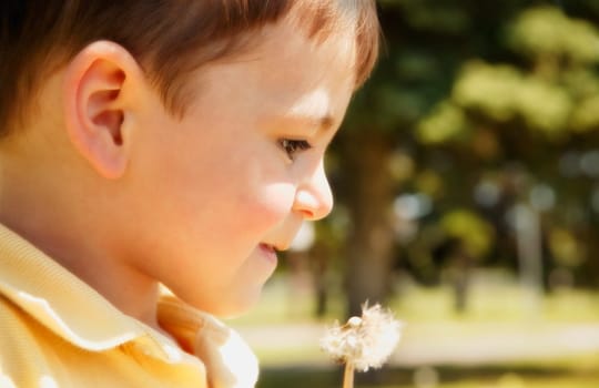 Boy with dandelion
