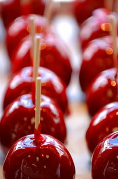 Rows of candied apples