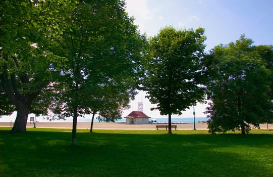 A view of the sea through the trees