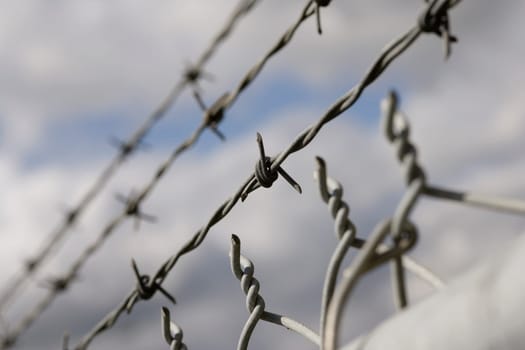 Barbed wire and link fencing