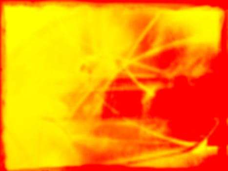 Yellow and red splotches of color