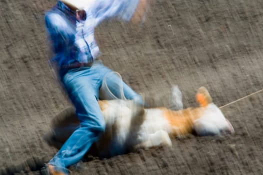 Roping a steer