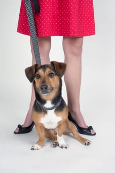A woman with a dog on a leash
