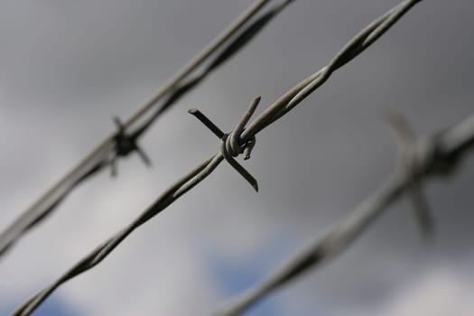 Closeup of barbed wire fencing