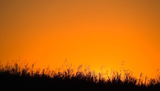 A grassy field with the sun setting behind it