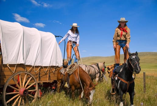 Cowgirls standing on horses