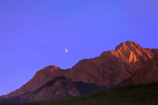 Alpine Glow on Mountain top
