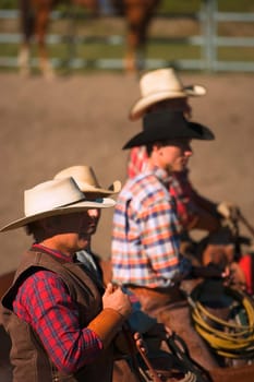 Cowboys look on