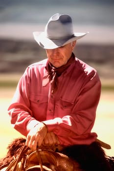 A cowboy on his horse